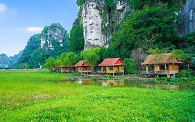 Lotus Field Homestay