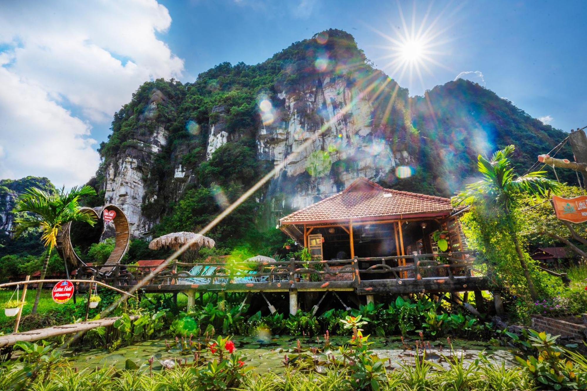 Lotus Field Homestay Ninh Binh Buitenkant foto