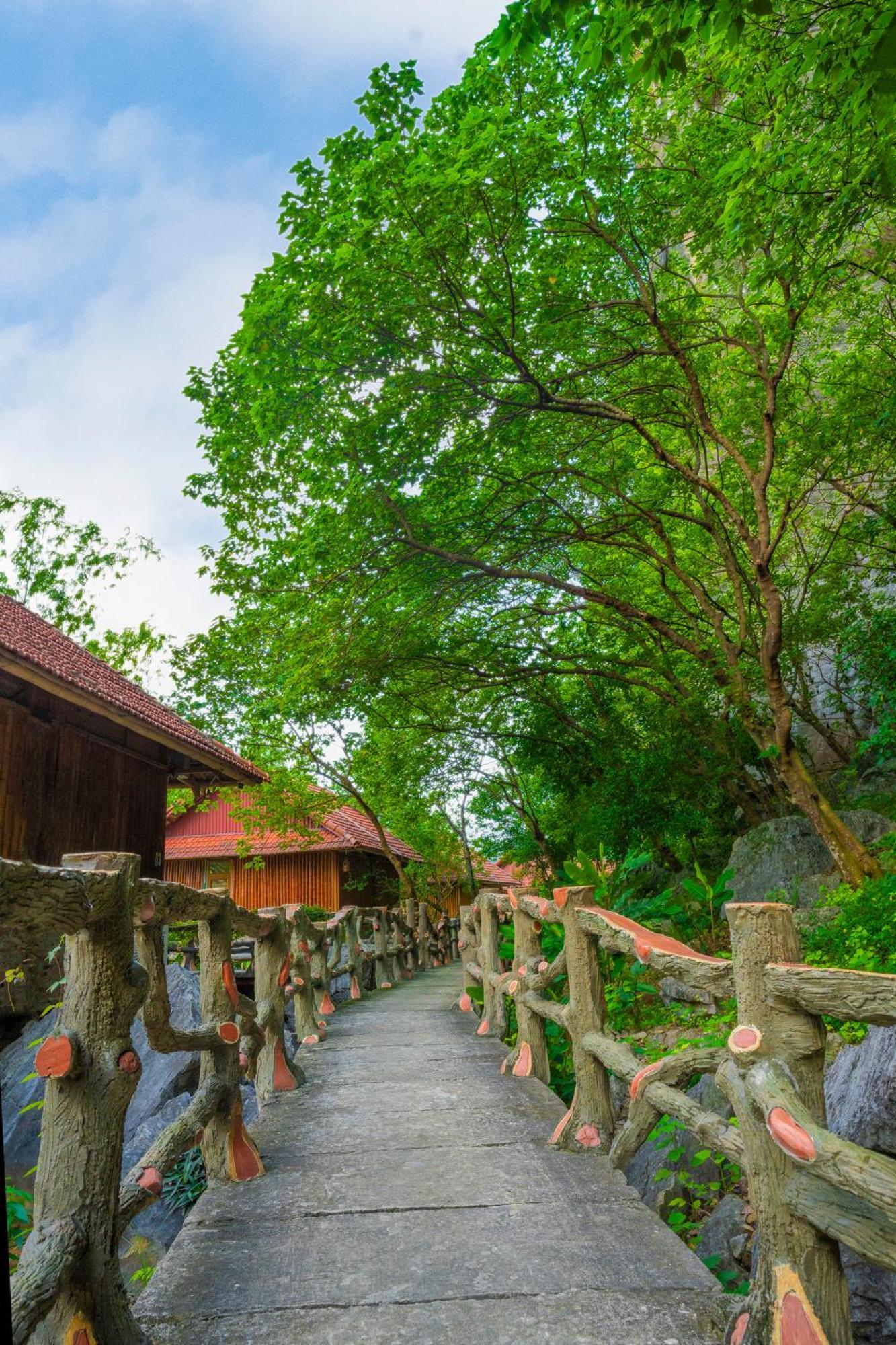 Lotus Field Homestay Ninh Binh Buitenkant foto