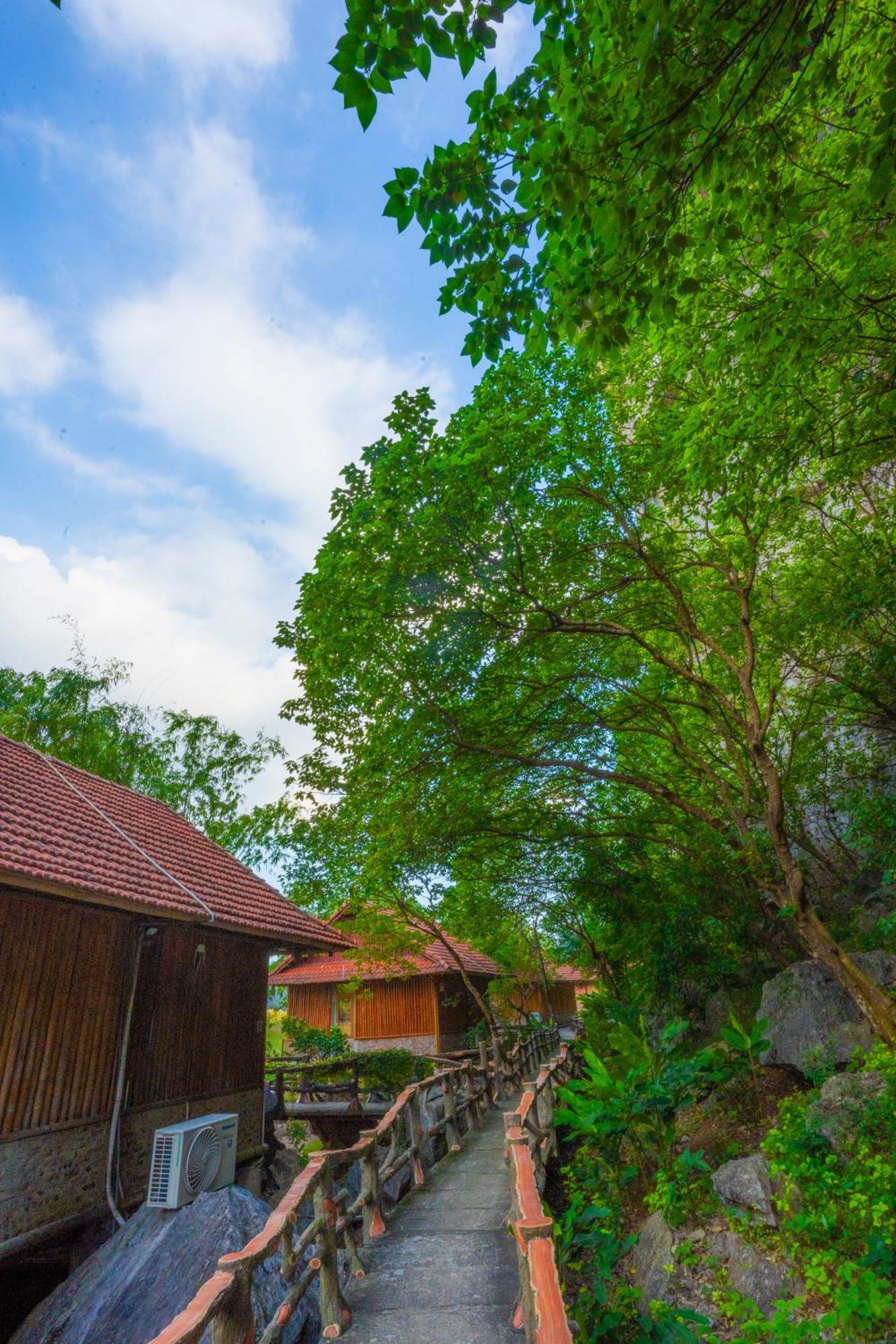 Lotus Field Homestay Ninh Binh Buitenkant foto